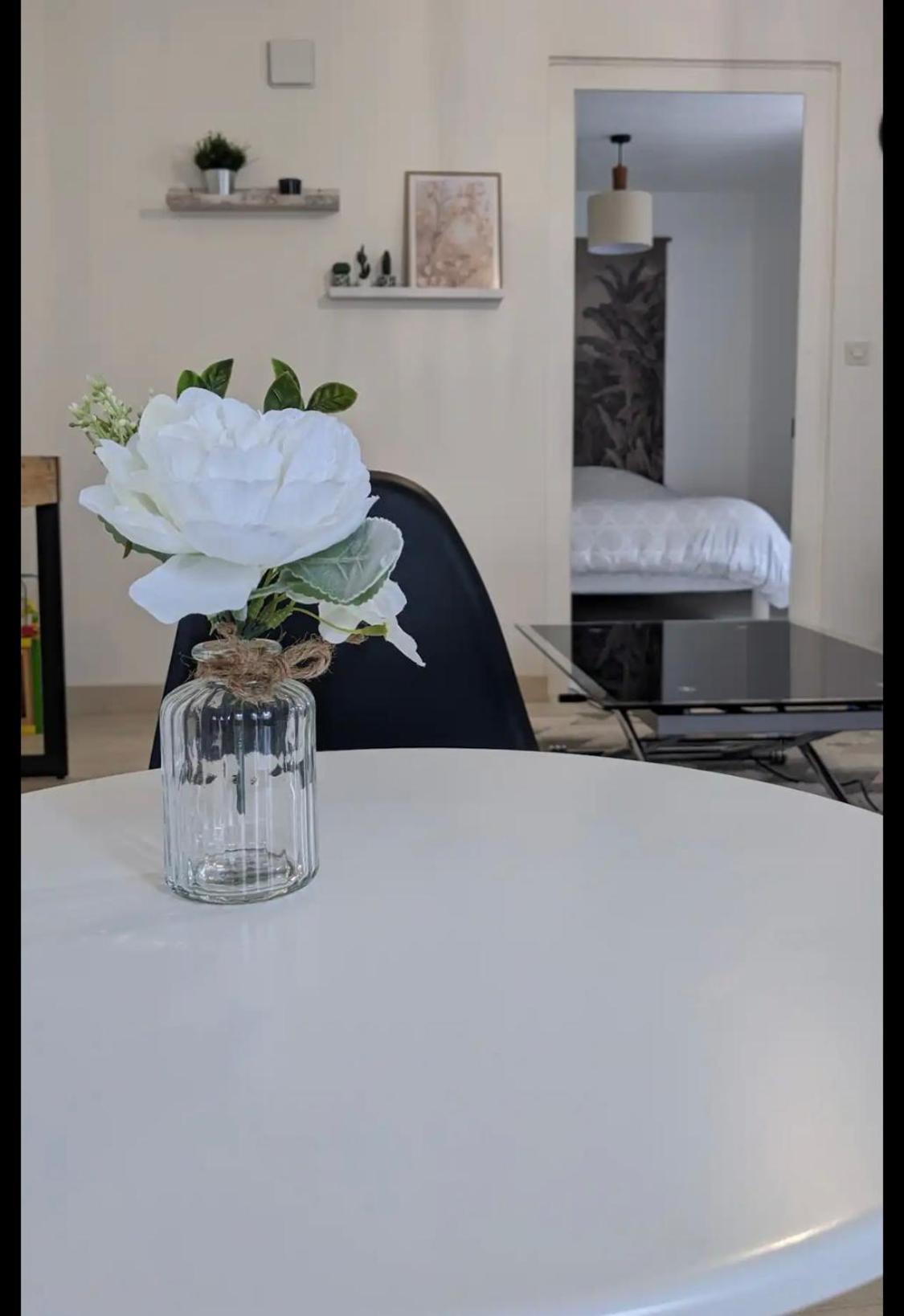 Joli Appart Cour Proche Bord De Loire Blois Ngoại thất bức ảnh